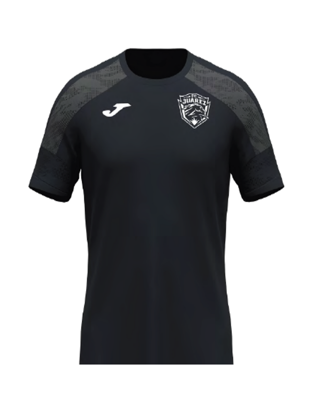Jersey Entrenamiento Caballero