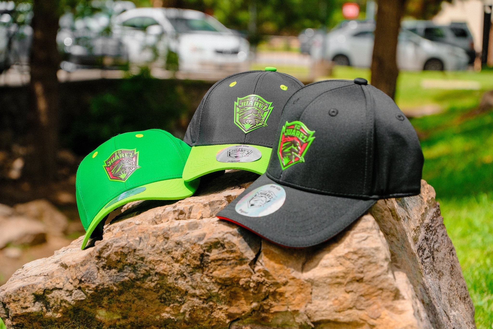 Gorras